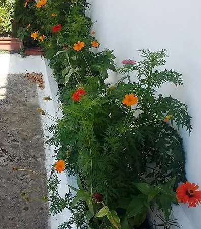 Spiros House Tatil Evi